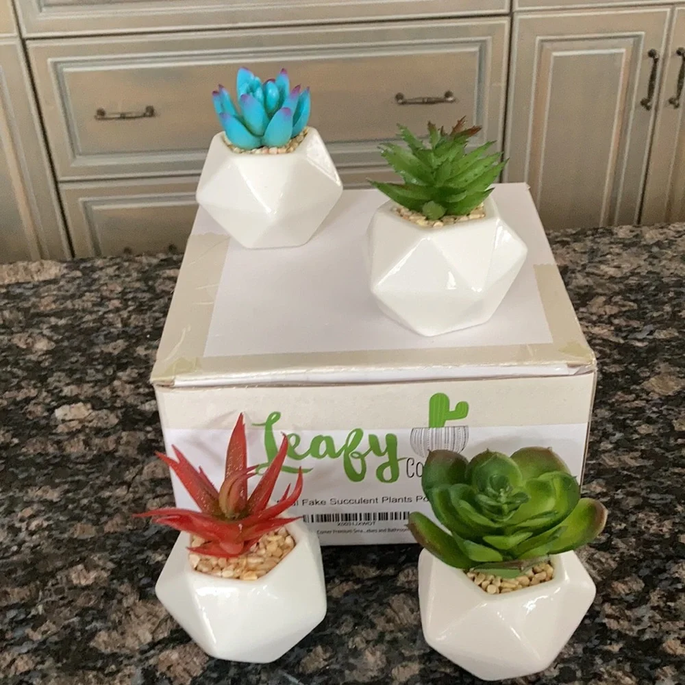 LEAFY CORNER ARTIFICIAL FAKE SUCCULENT PLANTS POTS NWT